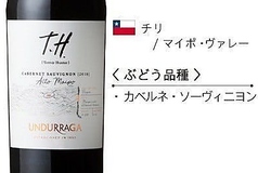 テロワール・ハンター　カベルネ・ソーヴィニヨン・アルト・マイポ（Bottle）