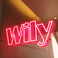 Wily ウエディング2次会×パーティーの画像