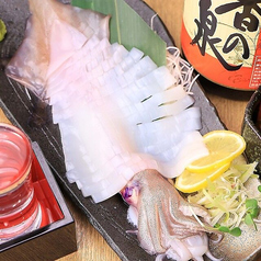 熟成イカの姿造り