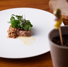 ビシガリ BiXiGARRiのコース写真