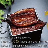 鰻の神楽 京都店のおすすめ料理2