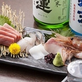 料理メニュー写真&nbsp;おまかせお刺身盛り合わせ