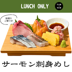 サーモン刺身飯【５種】