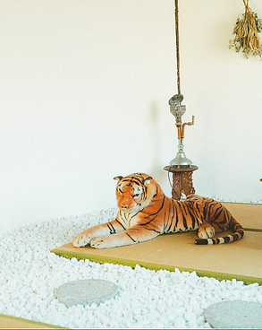 虎視眈々の雰囲気1