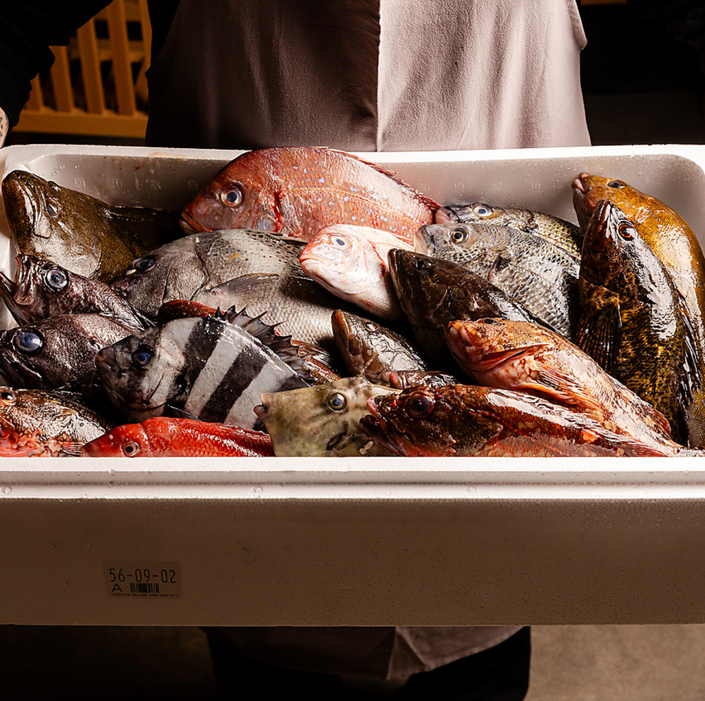 鮮魚をつかったメニューはどれも新鮮！本格派でありながらカジュアルに楽しめるお店です。