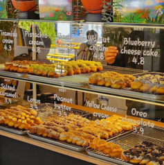 ؍JtF BONTEMPS {^ lΐ쒬X