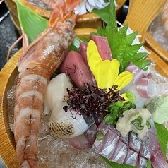 刺身御膳