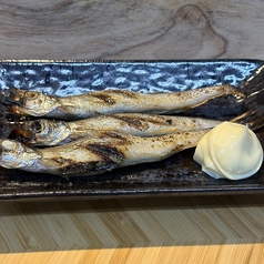 子持ちししゃも