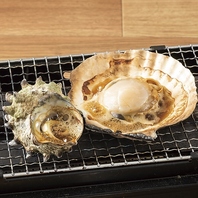 【鮮度が自慢】旨味がつまった種類豊富な海鮮メニュー♪