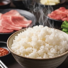 ご飯