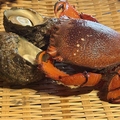 鶏たたき劇場 ぐびぐびのおすすめ料理1