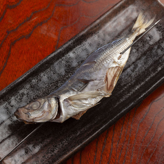 【炉端焼き】イワシ干物