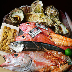 酒と魚 HARU 久屋大通店のコース写真