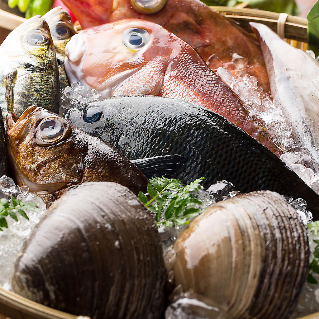 魚介を“新鮮なまま”にお造りでご提供。脂の乗った旬の魚や、鮮度のこだわりを日替わりでどうぞ。