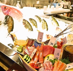 JAPANESE ROBATA ぴかり魚の特集写真