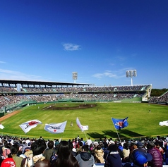 創業38年 本場韓国料理・焼肉 宮崎 タバン草乃家のおすすめポイント1