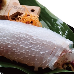 魚好人名物 いかの活造り【小】1～2人前