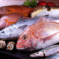◆当店自慢！天然魚にこだわった海鮮料理の数々。