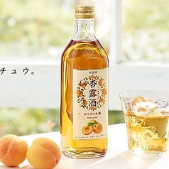杏露酒（ロック/水割り）