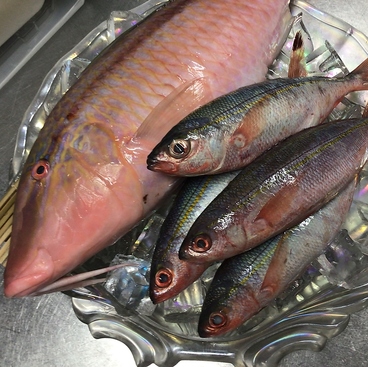 さらり 今店のおすすめ料理1