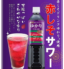 グランスタ 八重北 黒塀横丁店のおすすめドリンク3