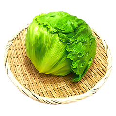 [食べ放題]レタス