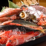 日本海で獲れた新鮮ずわい蟹など旬の海鮮で宴会を盛り上げます！日本酒もすすみます！