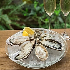 Oyster Bar & Restaurant Ostrea オストレア 新宿住友ビル店のコース写真