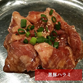 料理メニュー写真 黒豚ハラミ（塩コショウ・タレ）