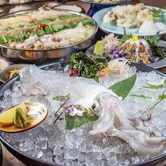 博多もつ鍋 前田屋 小倉店の特集写真