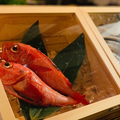 居酒屋 原始焼き 魚幸 ぎょこう 東武宇都宮 居酒屋 ネット予約可 ホットペッパーグルメ