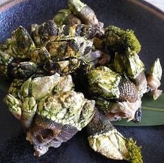 珍味の珍味！　かめの手