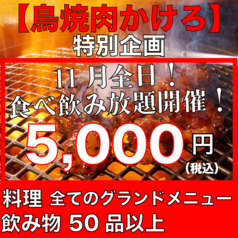 鳥焼肉 かけろ 大宮店のコース写真