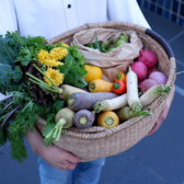 すべてストーリーがあります。産地にこだわった野菜や、環境への配慮を大切にしながらも、料理の美味しさを追求しています。素材の味を存分に楽しむことができます。また、ヴィーガンのお客様にも満足いただけるよう、植物性の食材を活かしたクリエイティブな料理も豊富に取り揃えています。