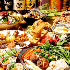 アクアリウム 海の夜空のコース写真