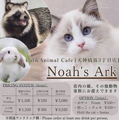 Cat&Animal Cafe Noah s Ark ノアズアーク 大阪天神橋3丁目店の特集写真