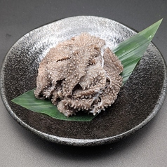センマイ
