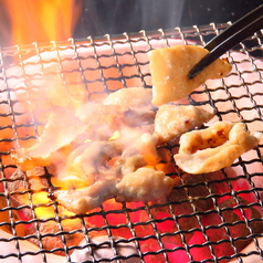 炭焼塩ホルモン 七厘の特集写真