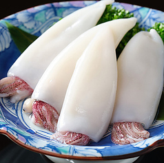 イカ