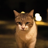 てぃーちの雰囲気2