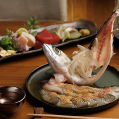 炭焼き屋 ほむら 博多本店の特集写真