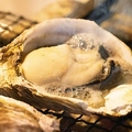 料理メニュー写真 厚岸直送　牡蠣 （かき）