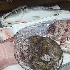 ワニゴチ(白身の高級魚)、タコ、タチウオ、真鯛