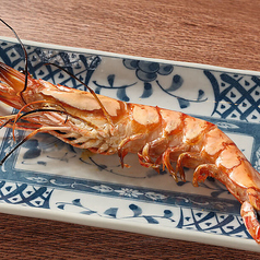 大海老 塩焼き