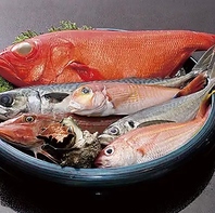 創業80年！老舗魚屋が伝統と信頼の目利きで仕入れる鮮魚