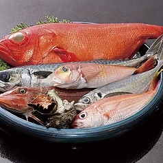 魚時会館　おさかな亭の写真2