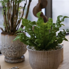 WIM ウィム 名古屋高岳店の特集写真