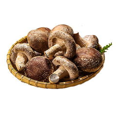 [食べ放題]しいたけ