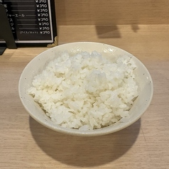 ライス(大)
