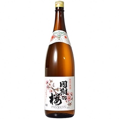 同期の桜 上撰